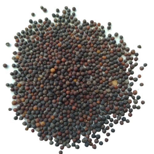 Cauliflower Fool Gobhi F1 | Vegetable Seeds