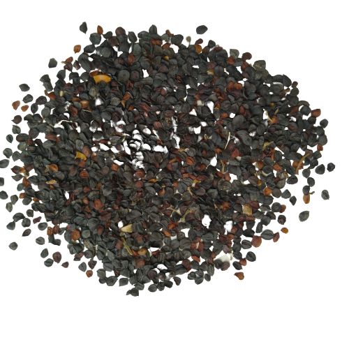 Dianthus Mixed Color Flower Seeds
