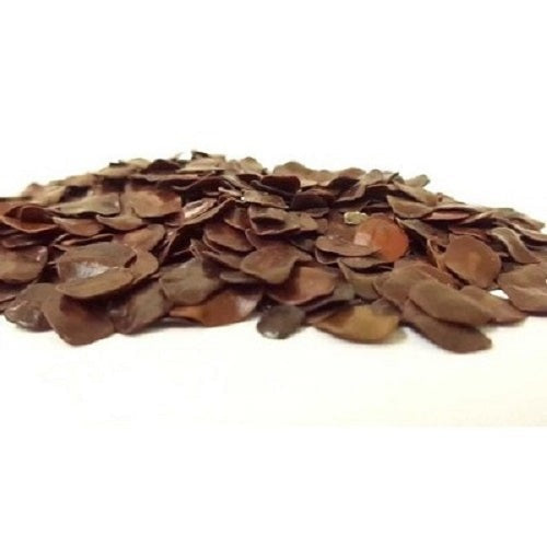 Amaltas Yellow Flower Seeds | Flower Tree Seeds