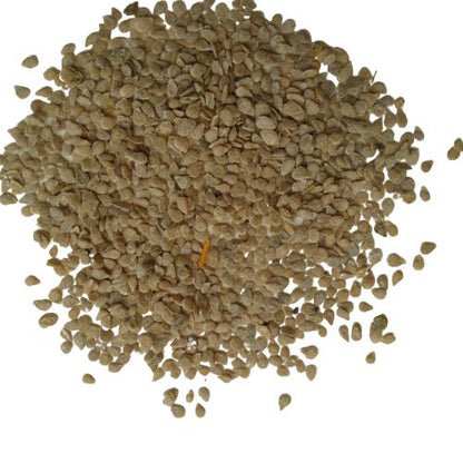 Cherry Tomato | Vegetable Seeds