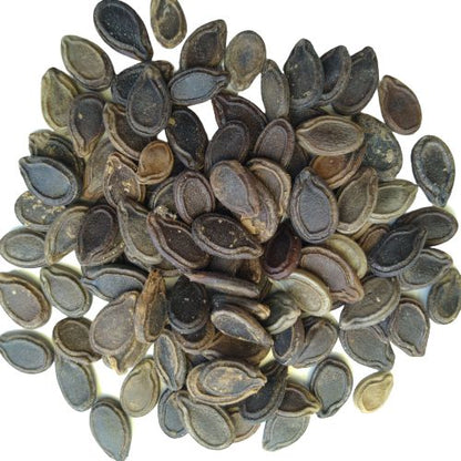 Tinda Round Gourd | Vegetable Seeds