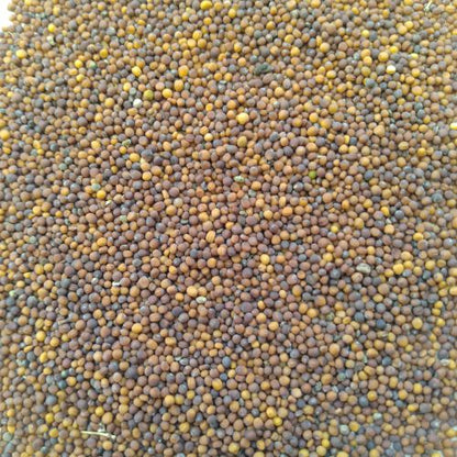 Turnip Red Ball Shalgam | Vegetable Seeds