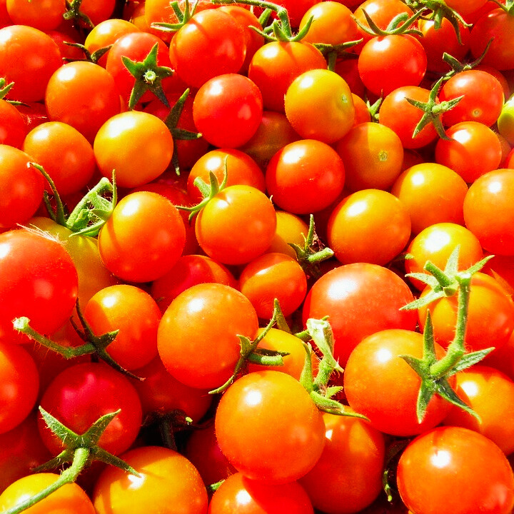 Cherry Tomato | Vegetable Seeds