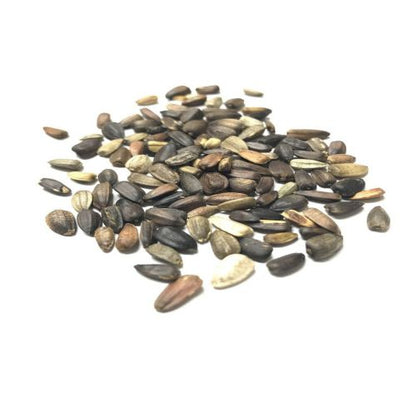 Sunflower Tall Sungold Flower Seeds